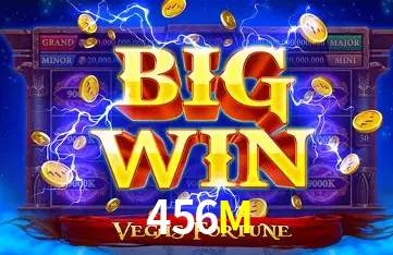 Programa VIP 456M